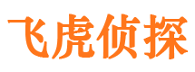 江陵婚外情调查取证